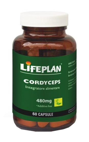 CORDYCEPS 60 CAPSULE - Farmadillo