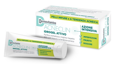 DERMOVITAMINA ACNECLIN IDROGEL ATTIVO AZIONE INTENSIVA 40 ML - Farmadillo