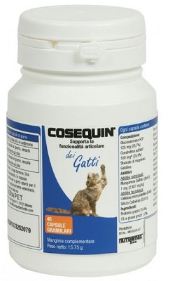 COSEQUIN GATTI 45 CAPSULE - Farmadillo
