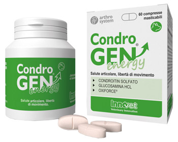CONDROGEN ENERGY 60 COMPRESSE MASTICABILI - Farmadillo