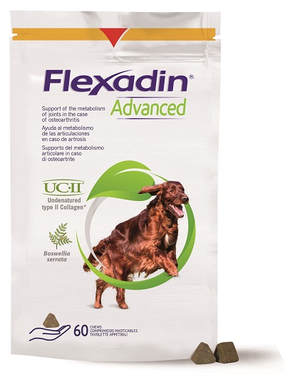 FLEXADIN ADVANCED CANE TUTTE LE TAGLIE 60 TAVOLETTE APPETIBILI - Farmadillo
