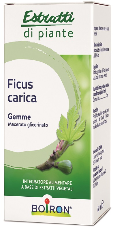 FICUS CARICA BOIRON MACERATO GLICERICO 60 ML - Farmadillo