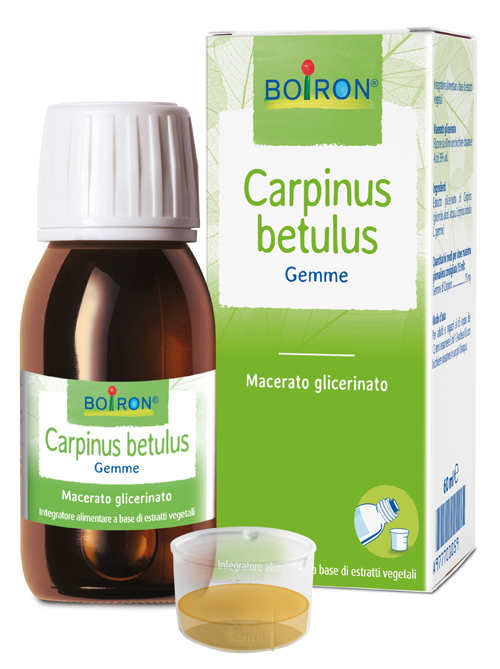 CARPINUS BET BOIRON MACERATO GLICERICO 60 ML - Farmadillo