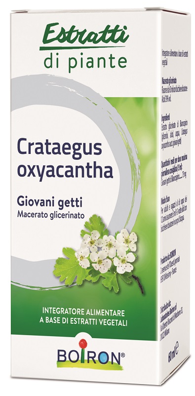 CRATAEGUS BOIRON MACERATO GLICERICO 60 ML - Farmadillo
