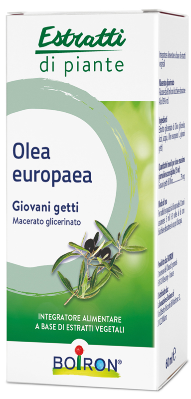 OLEA EUROPAEA BOIRON MACERATO GLICERICO 60 ML - Farmadillo