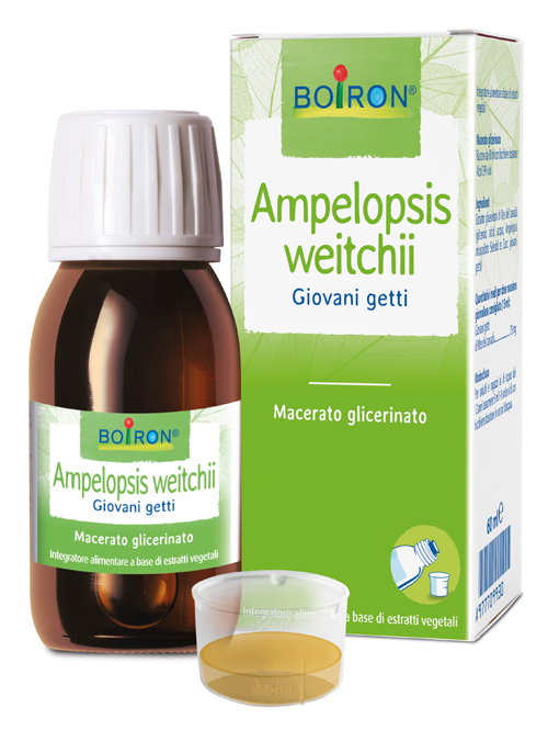 AMPELOPSIS WESTRATTO IDROALCOLICO BOIRON MACERATO GLICERICO 60 ML - Farmadillo