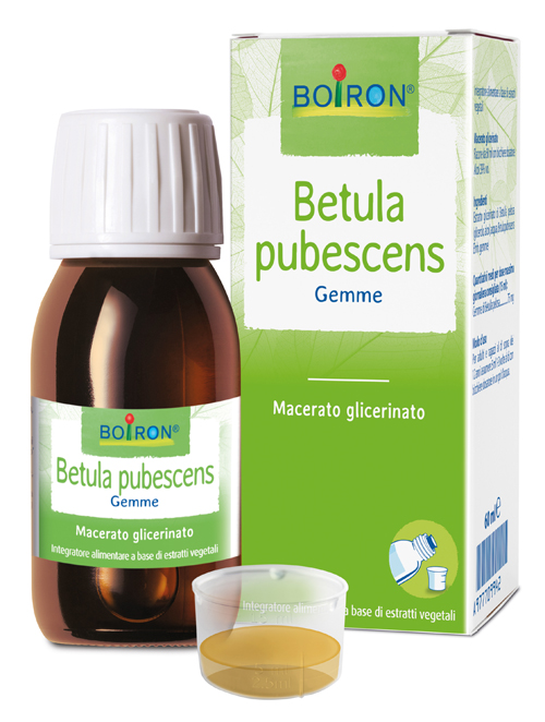 BETULA PUBESC BOIRON MACERATO GLICERICO 60 ML - Farmadillo