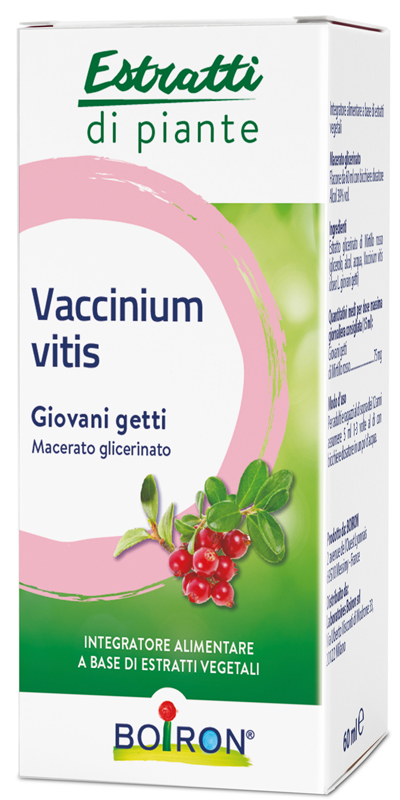 VACCINIUM VITIS MACERATO GLICERICO 60 ML - Farmadillo