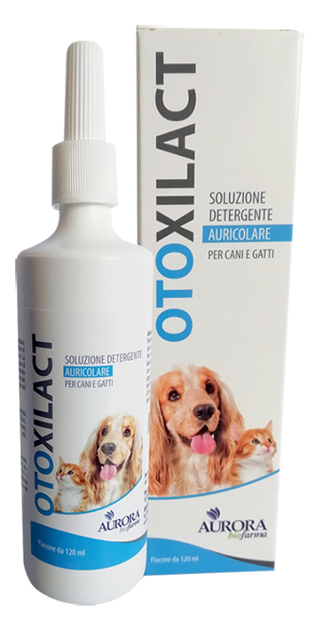 OTOXILACT DETERGENTE AURICOLARE - Farmadillo
