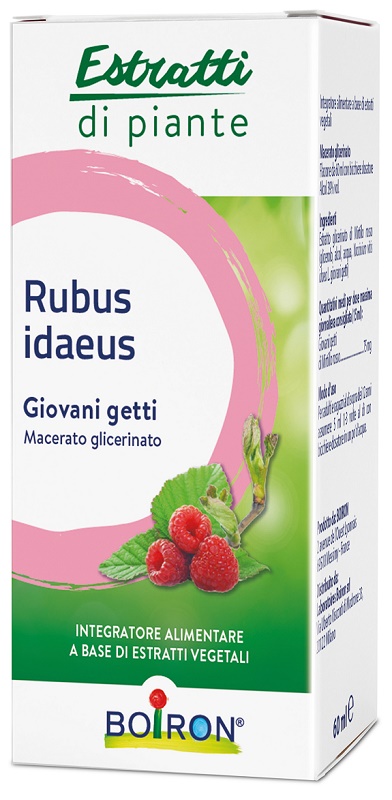 RUBUS IDAEUS BOIRON MACERATO GLICERICO 60 ML - Farmadillo