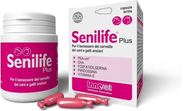 SENILIFE PLUS 30 CAPSULE - Farmadillo