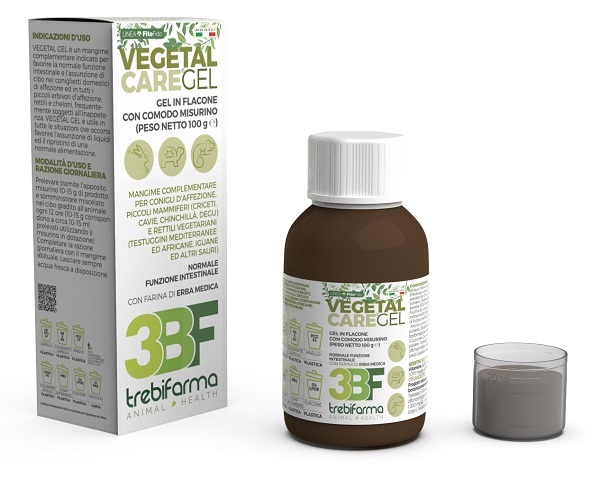 VEGETAL CARE GEL FLACONE 100 G - Farmadillo