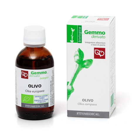 OLIVO MACERATO GLICERICO 50 ML BIO - Farmadillo