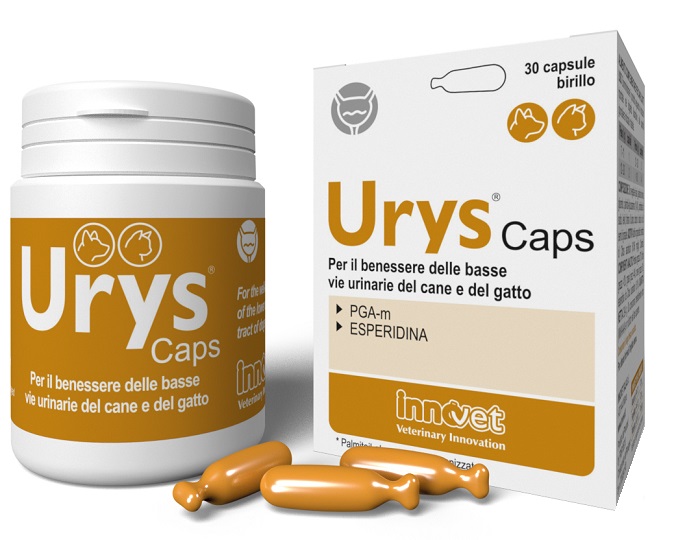 URYS CAPS 30 CAPSULE - Farmadillo