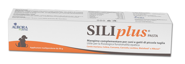 SILIPLUS PASTA 30 G - Farmadillo